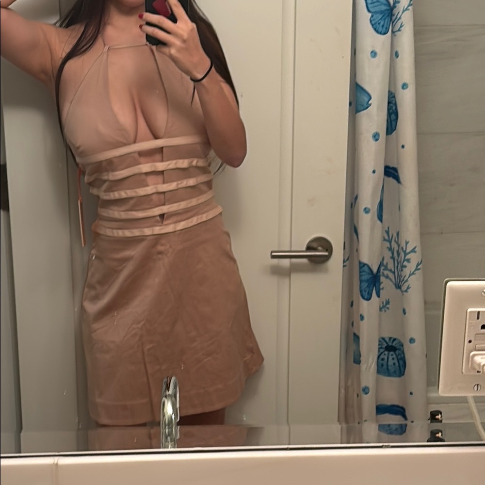 Cult Gaia Paige dress in Rose Quartz (NWT)